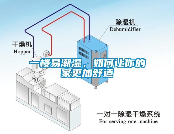 一楼易潮湿，如何让你的家更加舒适