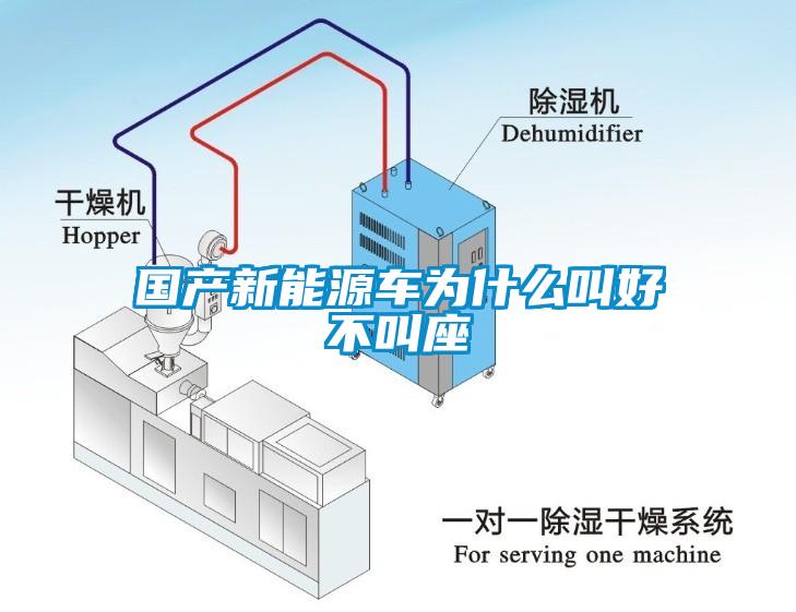 国产新能源车为什么叫好不叫座