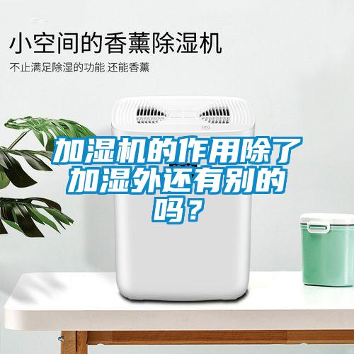 加湿机的作用除了加湿外还有别的吗？