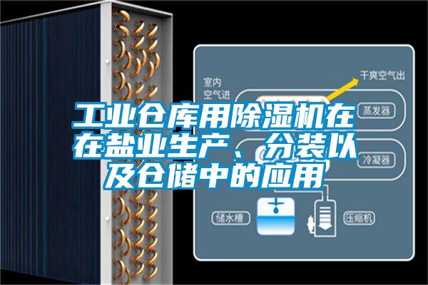 工业仓库用除湿机在在盐业生产、分装以及仓储中的应用