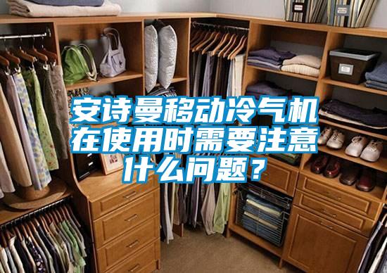 安诗曼移动冷气机在使用时需要注意什么问题？