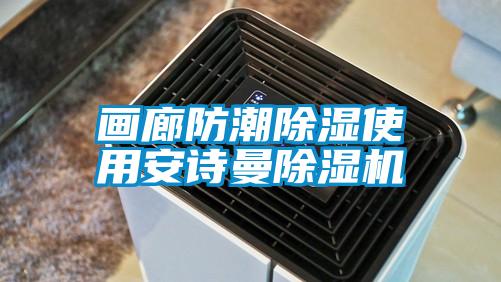 画廊防潮除湿使用安诗曼除湿机