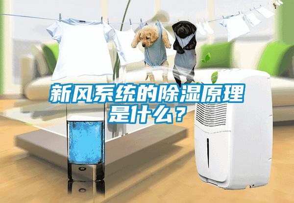 新风系统的除湿原理是什么？