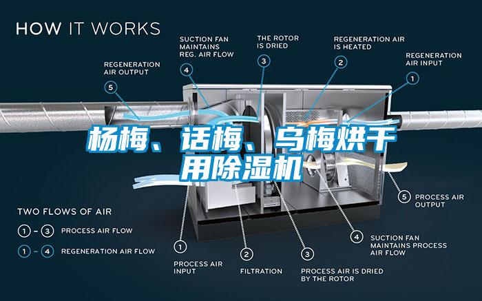 杨梅、话梅、乌梅烘干用除湿机