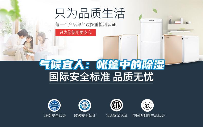 气候宜人：帐篷中的除湿