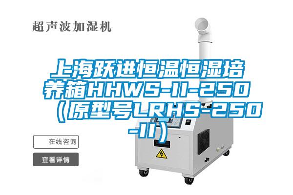 上海跃进恒温恒湿培养箱HHWS-II-250（原型号LRHS-250-II）