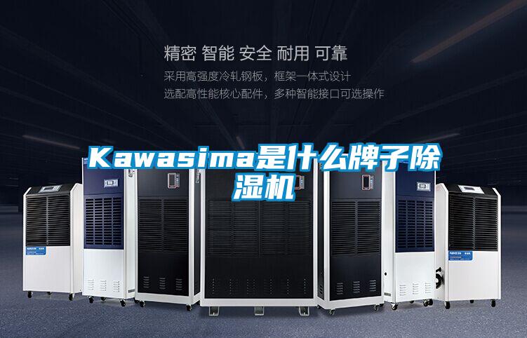 Kawasima是什么牌子除湿机