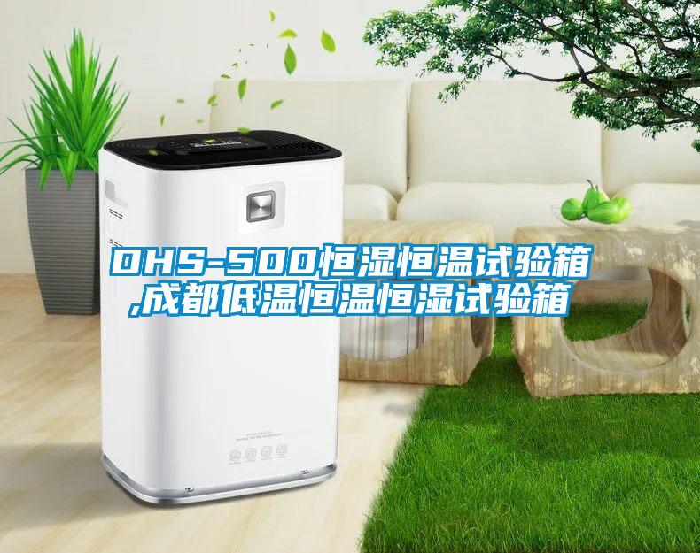 DHS-500恒湿恒温试验箱,成都低温恒温恒湿试验箱