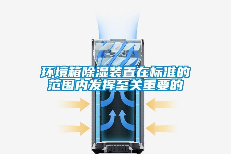 环境箱除湿装置在标准的范围内发挥至关重要的