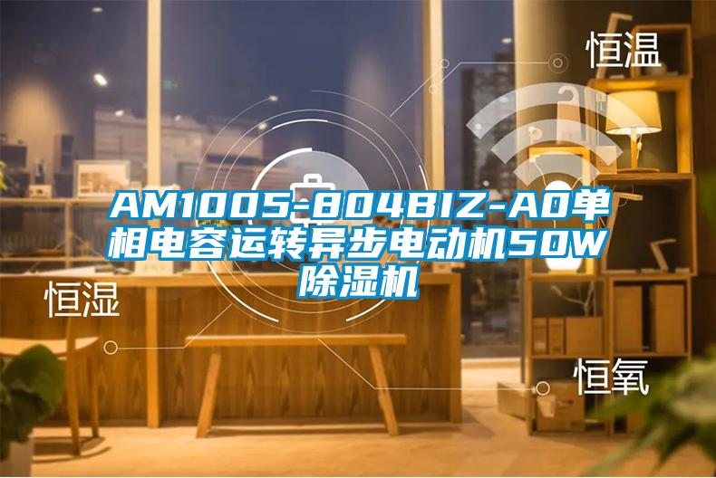 AM1005-804BIZ-A0单相电容运转异步电动机50W除湿机