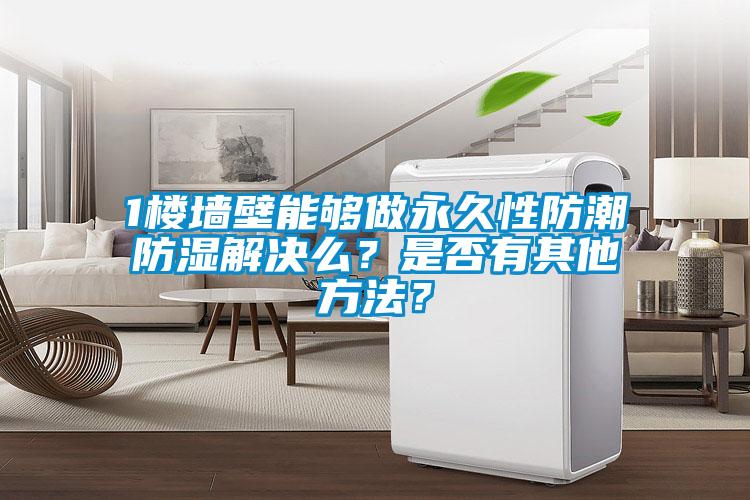 1楼墙壁能够做永久性防潮防湿解决么？是否有其他方法？