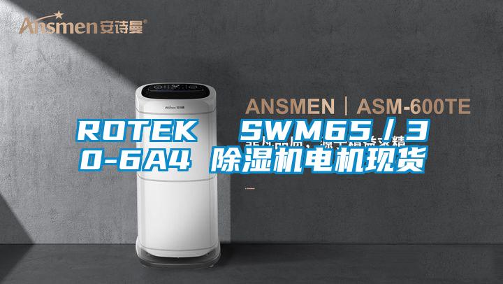 ROTEK  SWM65／30-6A4 除湿机电机现货