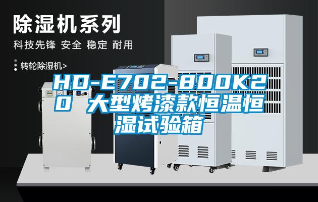 HD-E702-800K20 大型烤漆款恒温恒湿试验箱