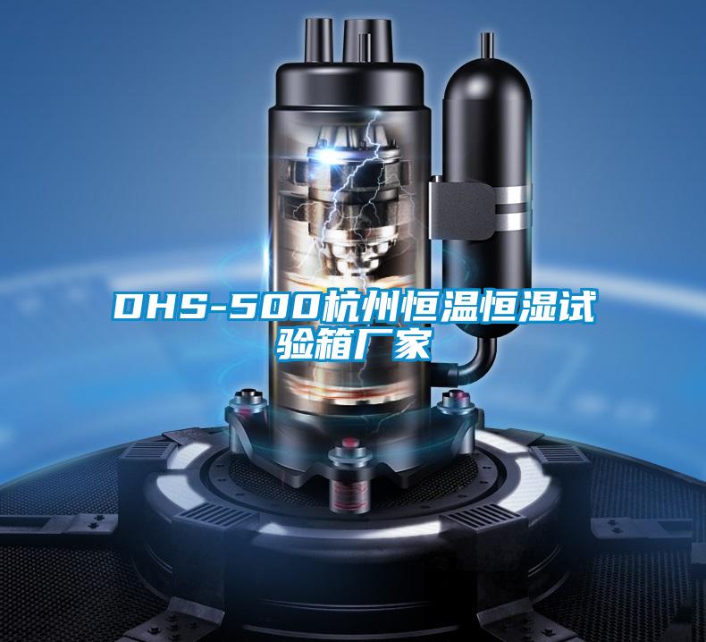 DHS-500杭州恒温恒湿试验箱厂家