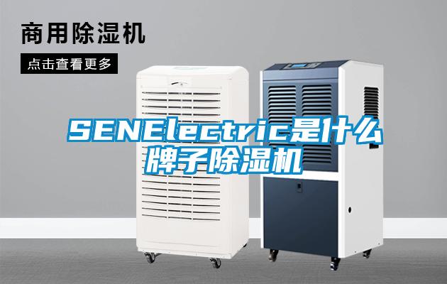 SENElectric是什么牌子除湿机