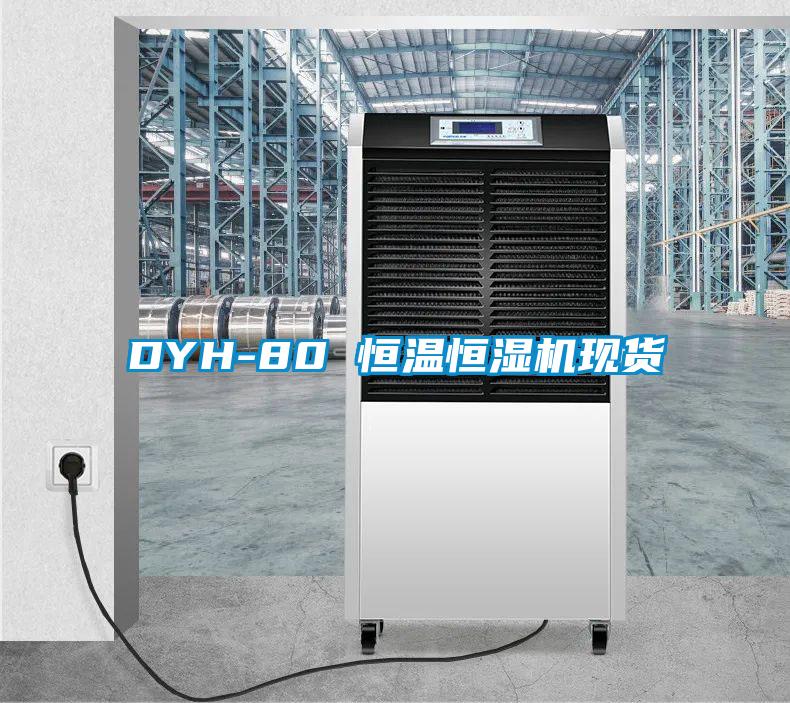 DYH-80 恒温恒湿机现货