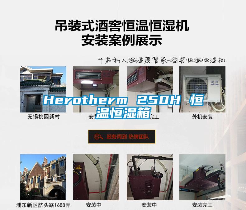 Herotherm 250H 恒温恒湿箱