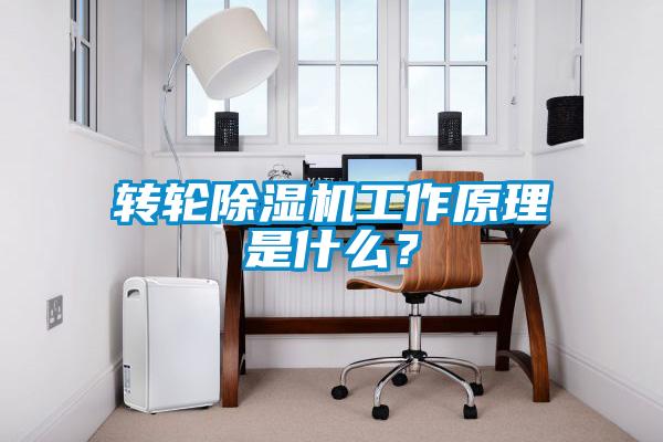 转轮除湿机工作原理是什么？