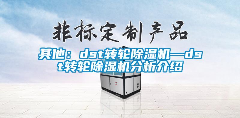 其他：dst转轮除湿机—dst转轮除湿机分析介绍