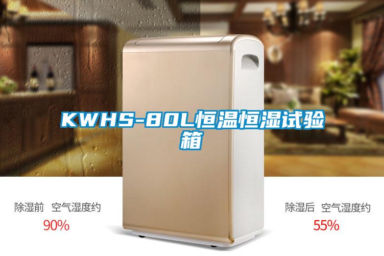 KWHS-80L恒温恒湿试验箱