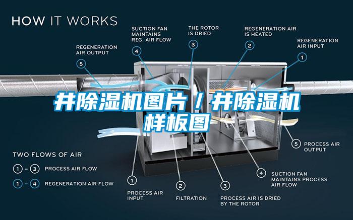 井除湿机图片／井除湿机样板图