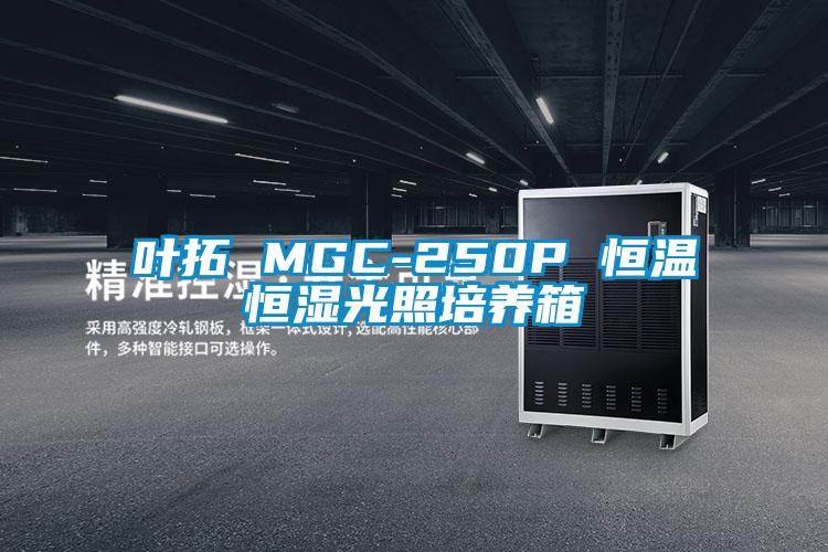 叶拓 MGC-250P 恒温恒湿光照培养箱