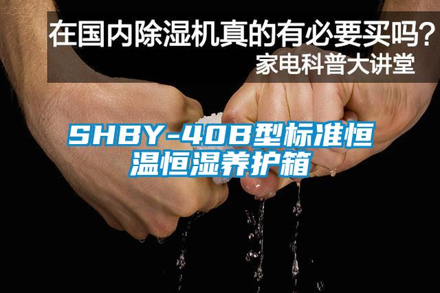 SHBY-40B型标准恒温恒湿养护箱