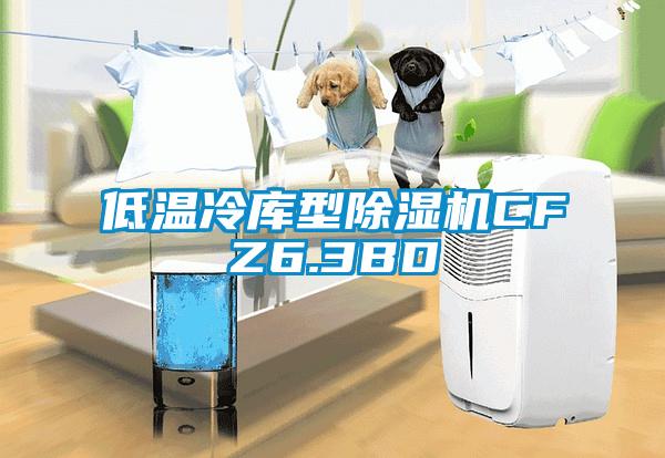 低温冷库型除湿机CFZ6.3BD