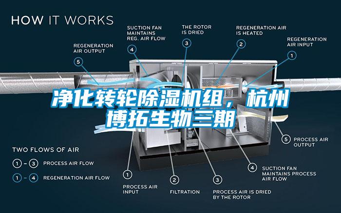 净化转轮除湿机组，杭州博拓生物三期