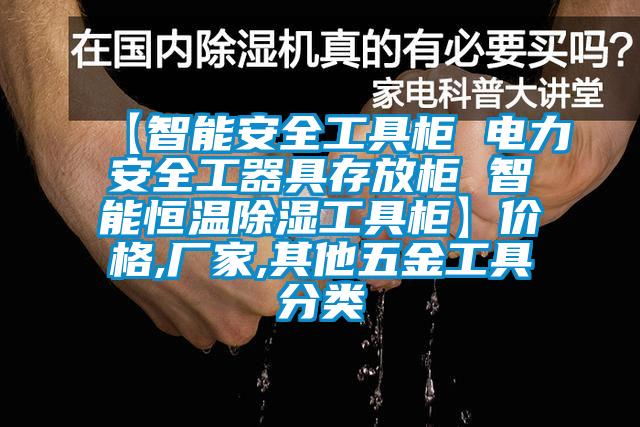 【智能安全工具柜 电力安全工器具存放柜 智能恒温除湿工具柜】价格,厂家,其他五金工具分类