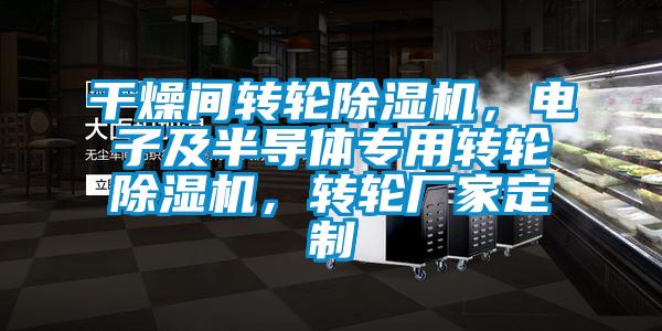 干燥间转轮除湿机，电子及半导体专用转轮除湿机，转轮厂家定制