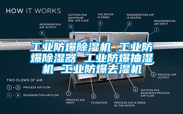 工业防爆除湿机 工业防爆除湿器 工业防爆抽湿机 工业防爆去湿机