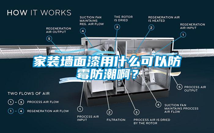 家装墙面漆用什么可以防霉防潮啊？