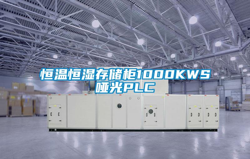 恒温恒湿存储柜1000KWS哑光PLC