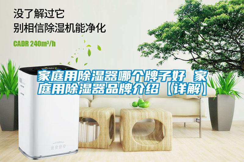 家庭用除湿器哪个牌子好 家庭用除湿器品牌介绍【详解】