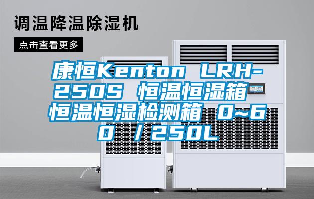 康恒Kenton LRH-250S 恒温恒湿箱 恒温恒湿检测箱 0~60℃／250L