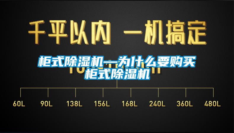 柜式除湿机—为什么要购买柜式除湿机