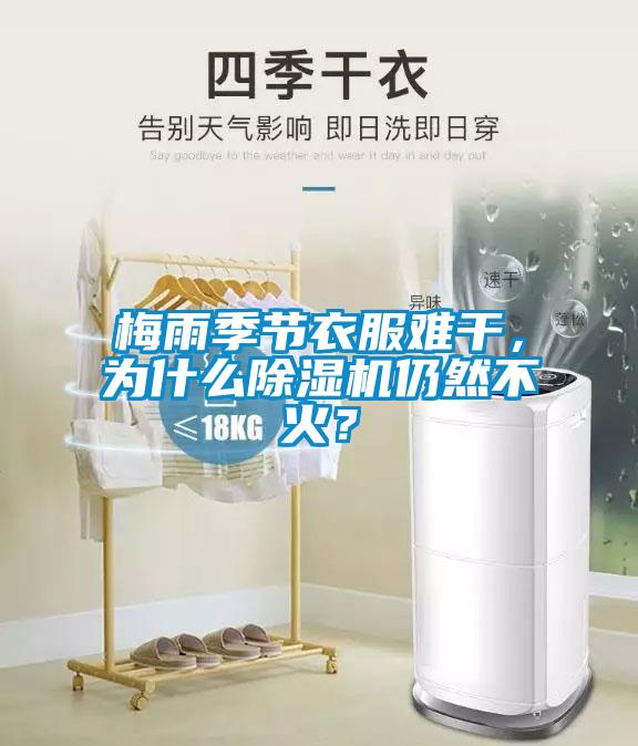 梅雨季节衣服难干，为什么除湿机仍然不火？