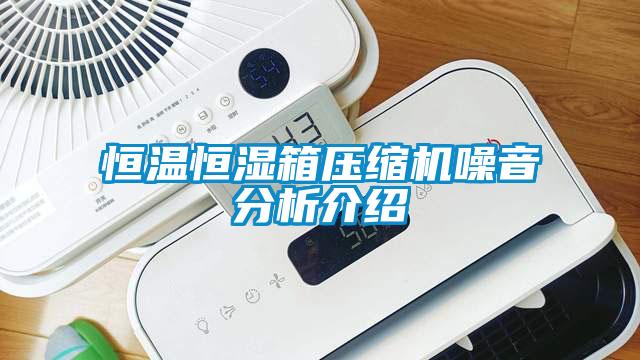 恒温恒湿箱压缩机噪音分析介绍