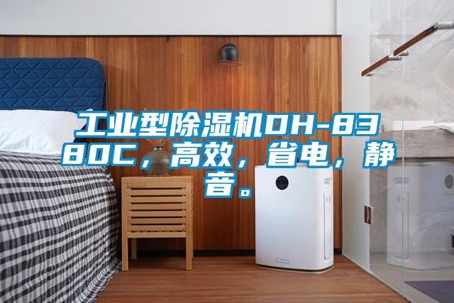 工业型除湿机DH-8380C，高效，省电，静音。