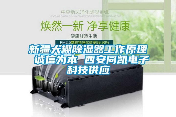 新疆大棚除湿器工作原理 诚信为本 西安同凯电子科技供应