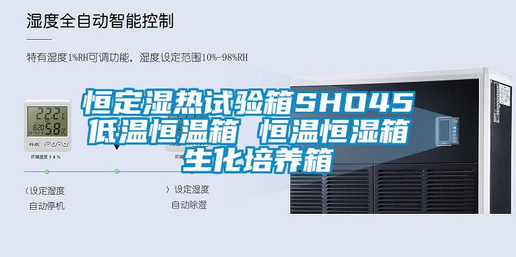 恒定湿热试验箱SHO45 低温恒温箱 恒温恒湿箱 生化培养箱