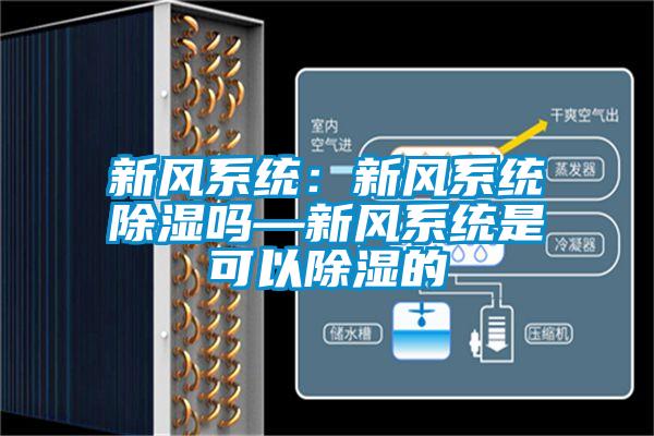 新风系统：新风系统除湿吗—新风系统是可以除湿的