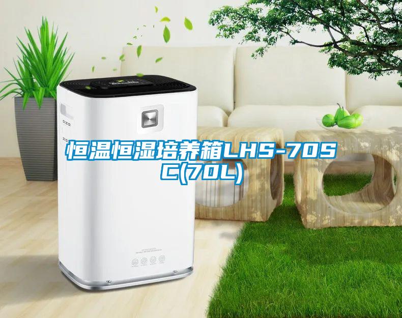 恒温恒湿培养箱LHS-70SC(70L)