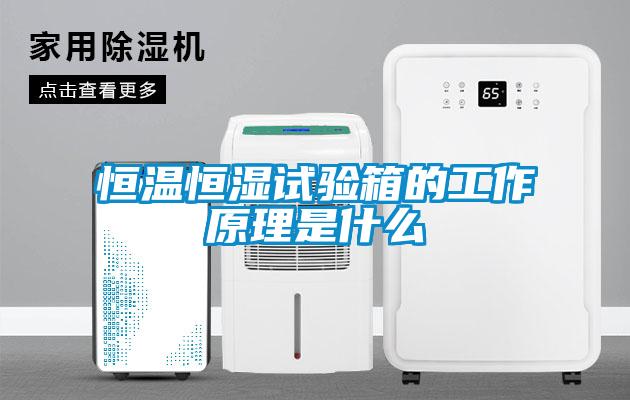 恒温恒湿试验箱的工作原理是什么