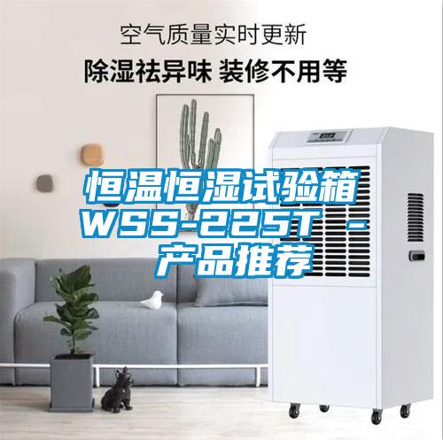 恒温恒湿试验箱WSS-225T - 产品推荐