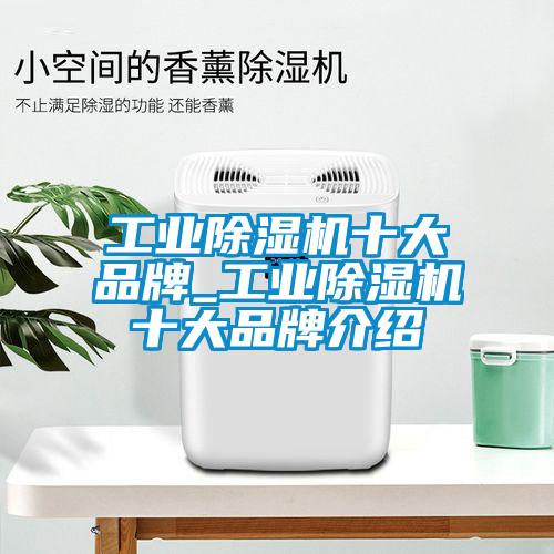 工业除湿机十大品牌_工业除湿机十大品牌介绍