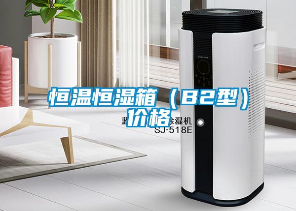 恒温恒湿箱（B2型）价格