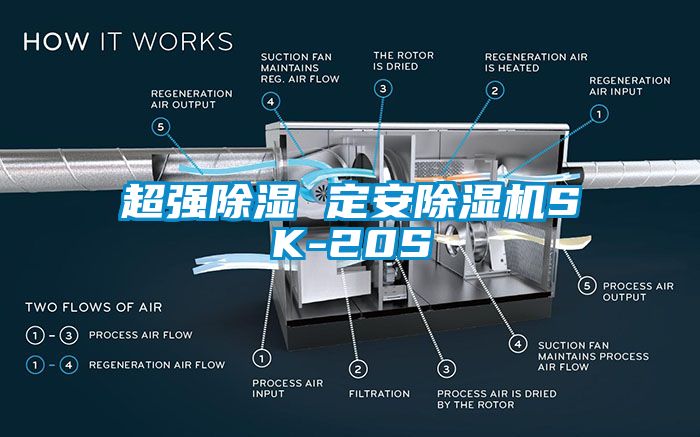 超强除湿 定安除湿机SK-20S