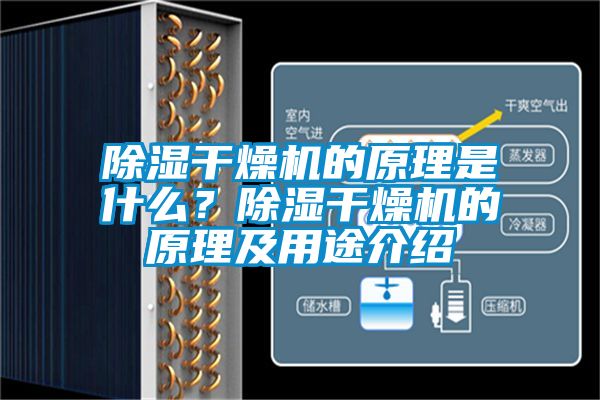 除湿干燥机的原理是什么？除湿干燥机的原理及用途介绍